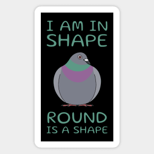 Round Is A Shape Pigeon Magnet